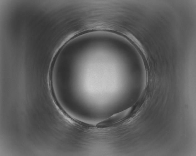 X0000074281293200608251308