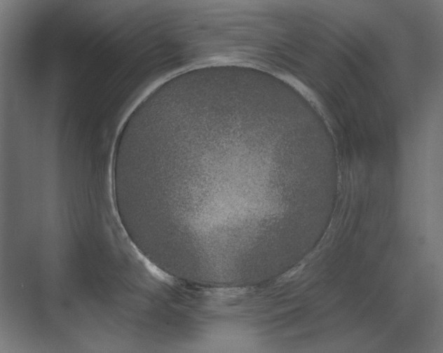 X0000074281294200608251308