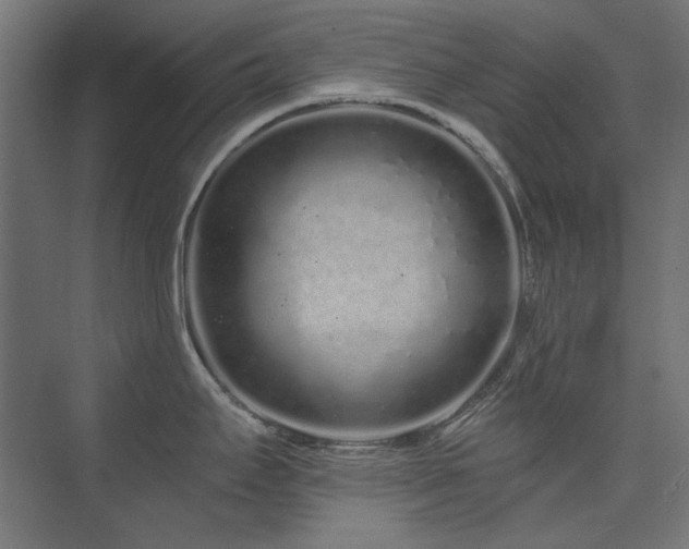 X0000074281295200608251308
