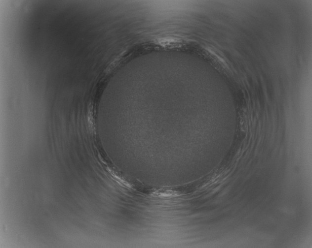 X0000074281298200608251308