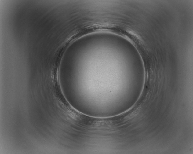 X0000074281305200608251308