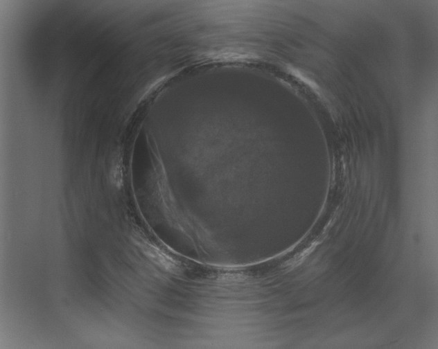 X0000074281306200608251308