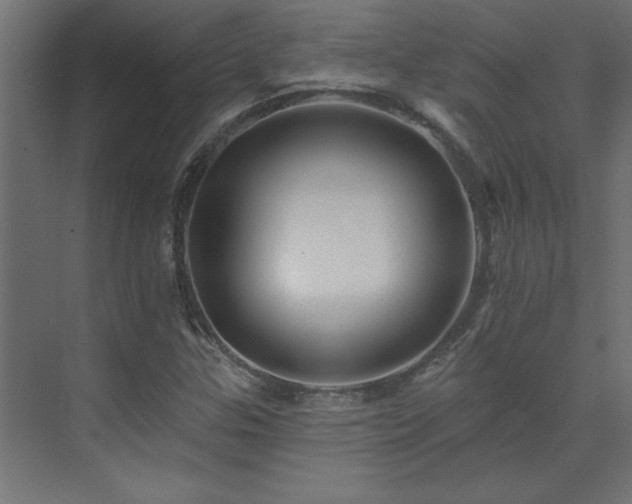 X0000074281307200608251308