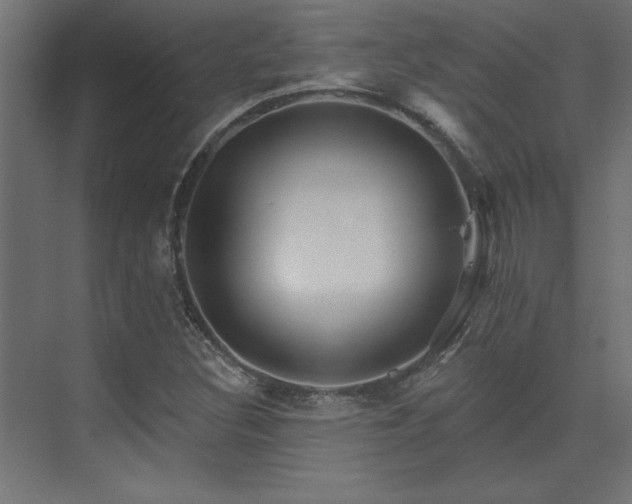 X0000074281308200608251308