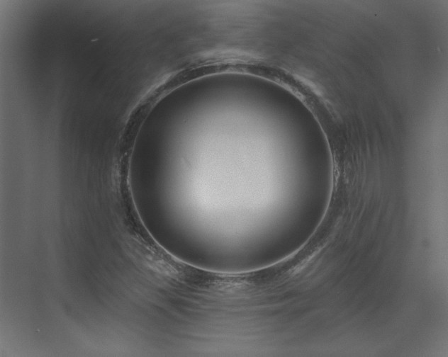 X0000074281309200608251308