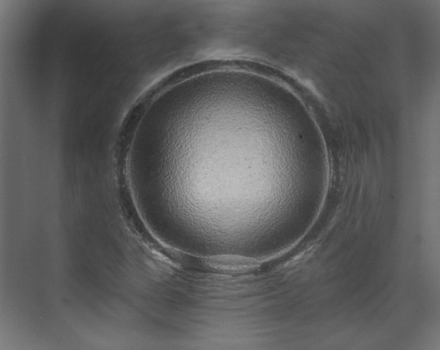X0000074281311200608251308