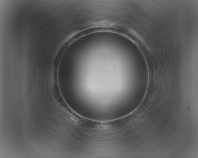 X0000074281315200608251308
