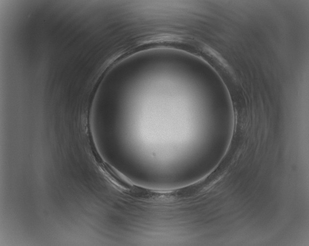 X0000074281321200608251308