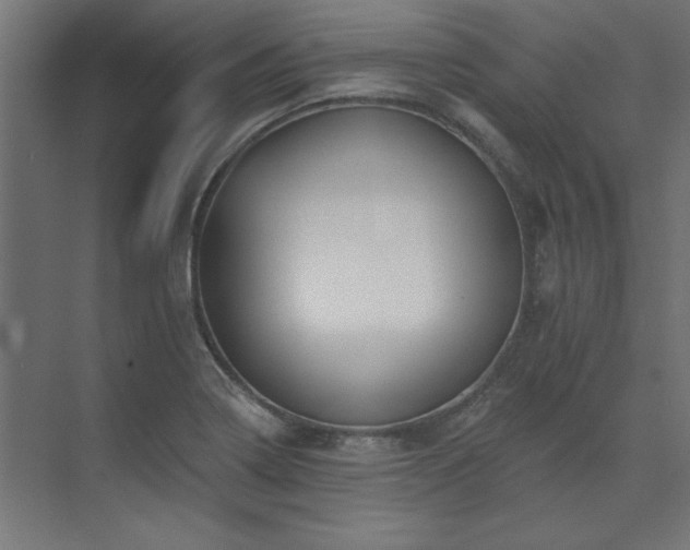 X0000074281322200608251308