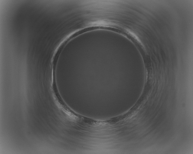 X0000074281323200608251308
