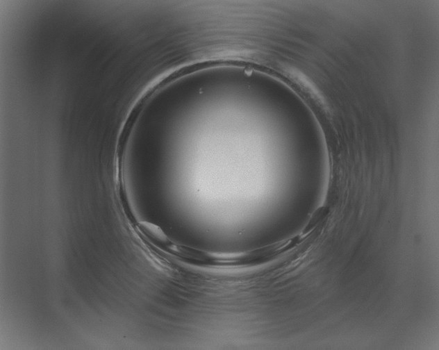 X0000074281324200608251308