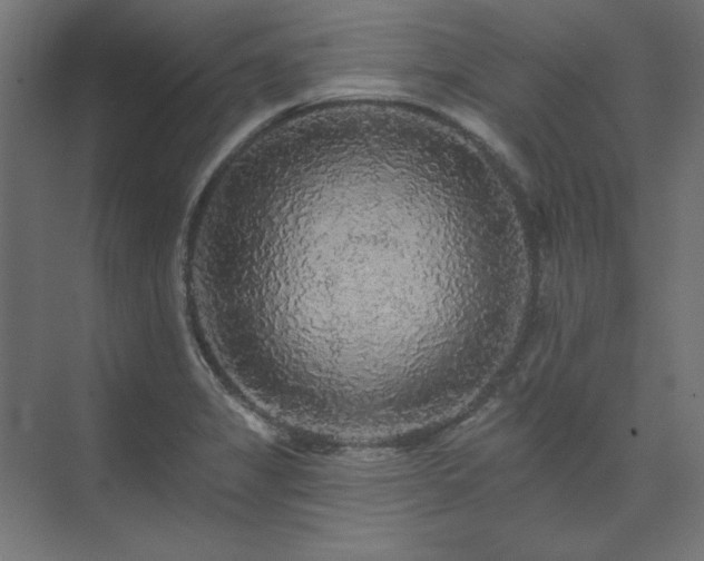 X0000074281325200608251308