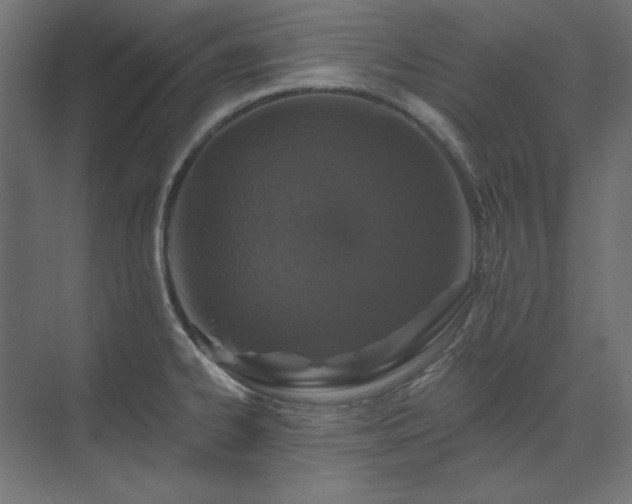 X0000074281334200608251308