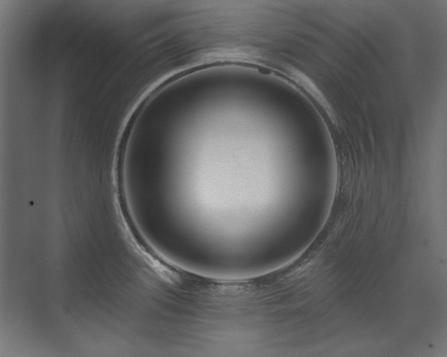 X0000074281339200608251308