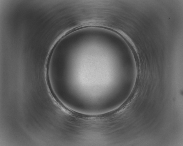 X0000074281341200608251308