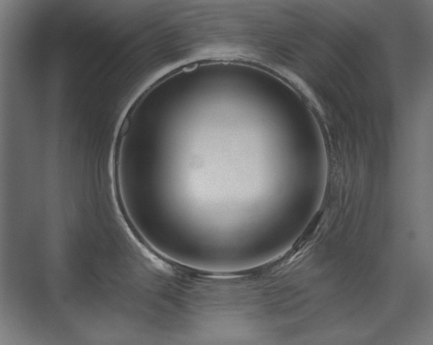 X0000074281343200608251308