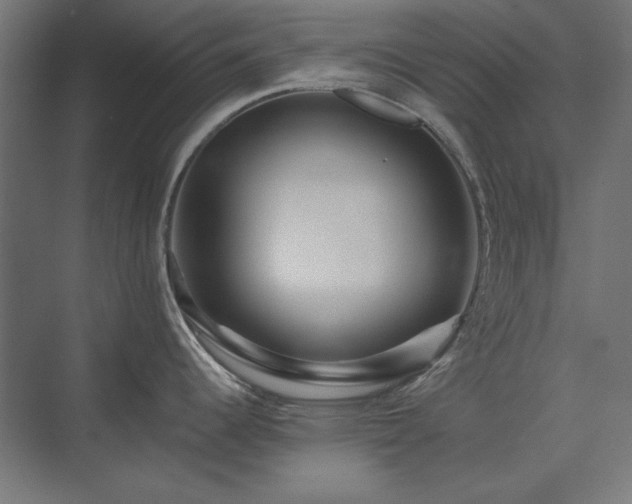 X0000074281344200608251308