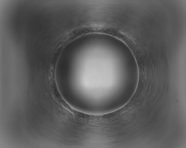 X0000074281349200608251307