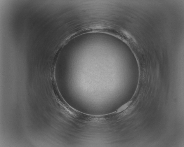 X0000074281353200608251307