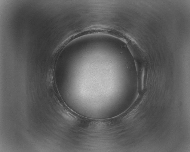 X0000074281355200608251307