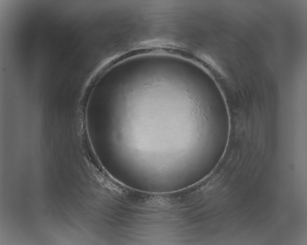 X0000074281358200608251307