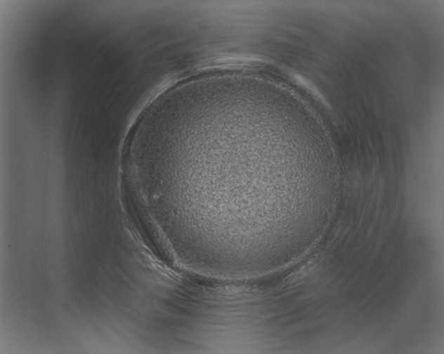 X0000074281362200608251307