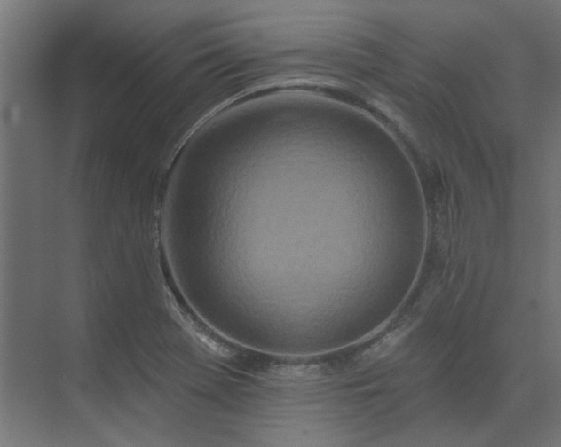 X0000074281369200608251307