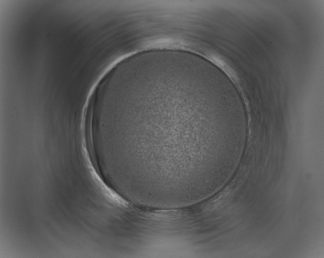 X0000074281392200608251307