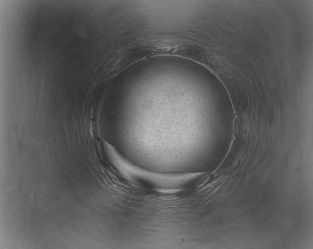 X0000074281394200608251306