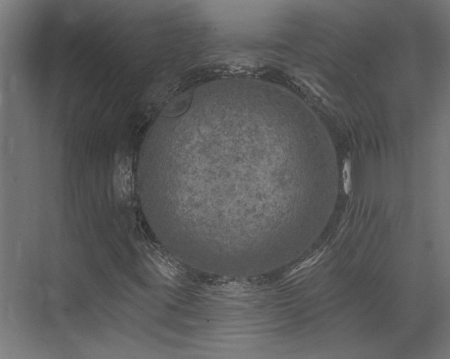 X0000074281395200608251306