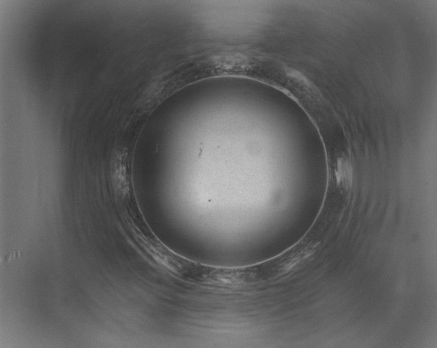 X0000074281396200608251306