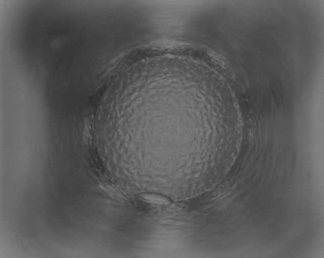 X0000074281397200608251306