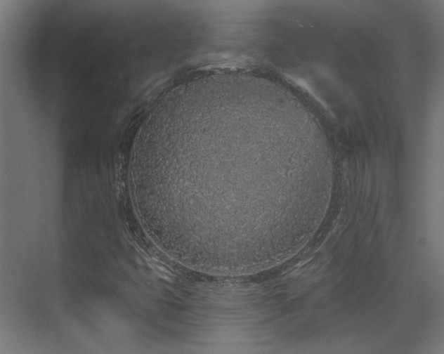X0000074281399200608251306