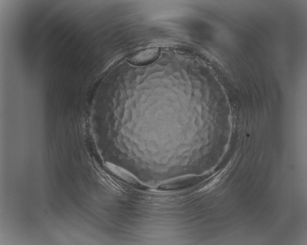 X0000074281401200608251306