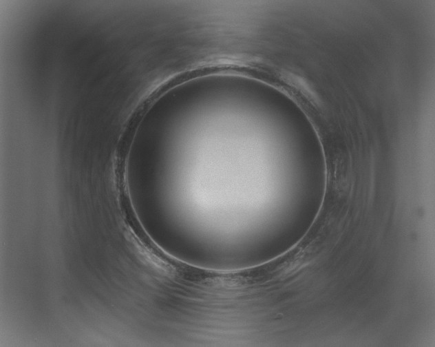 X0000074281404200608251306
