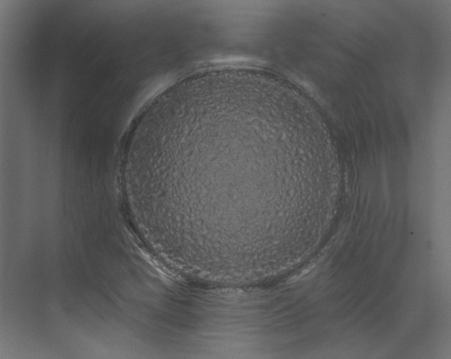 X0000074281405200608251306