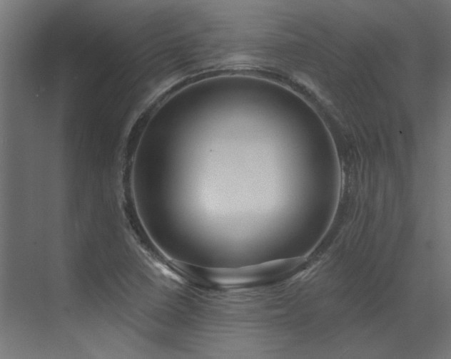 X0000074281410200608251306