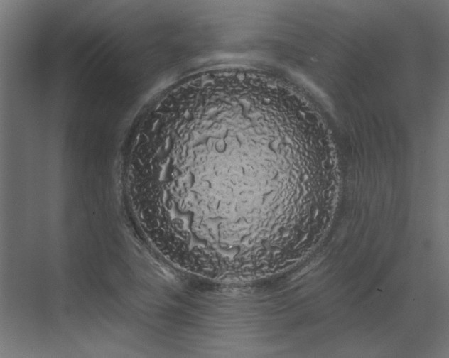 X0000074281411200608251306