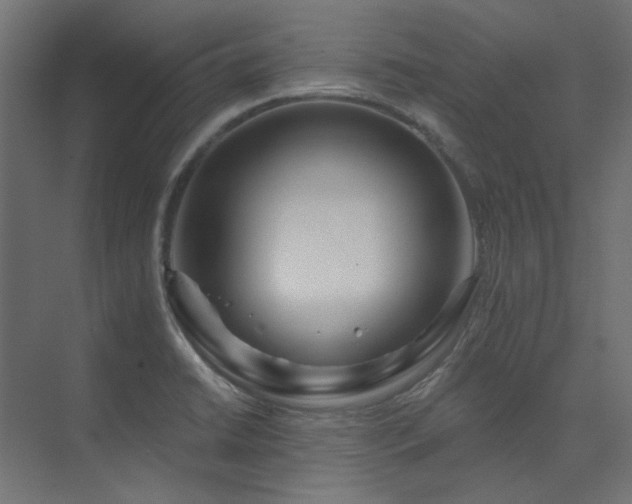 X0000074281422200608251306