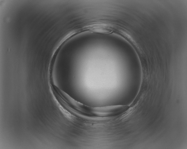 X0000074281426200608251306