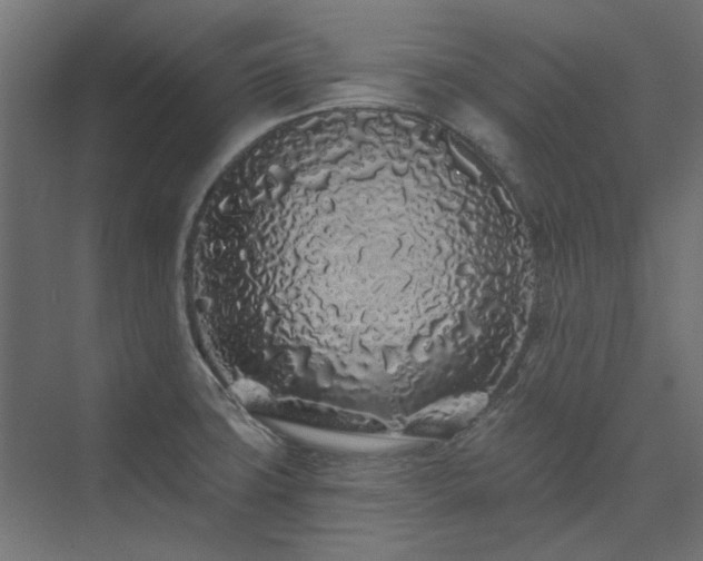 X0000074281427200608251306