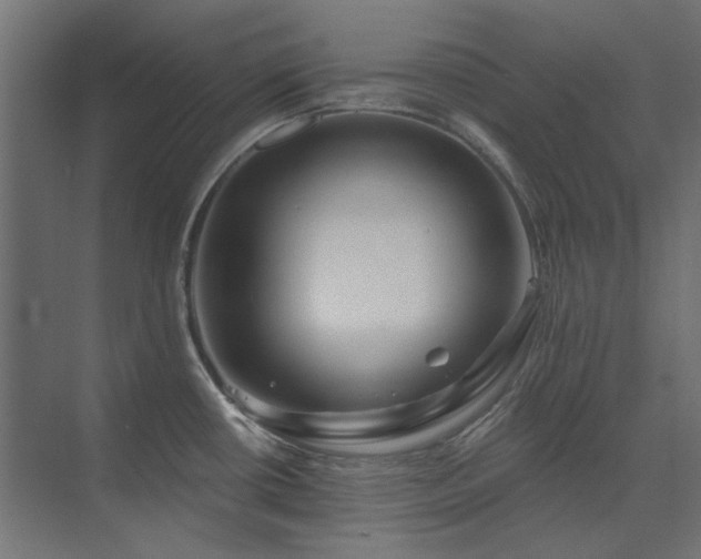 X0000074281434200608251307
