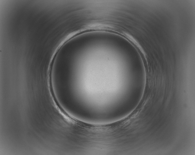 X0000074281437200608251307