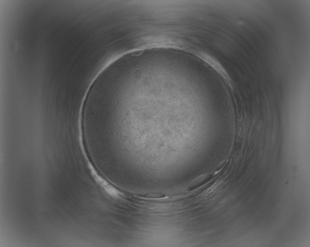 X0000074281439200608251307