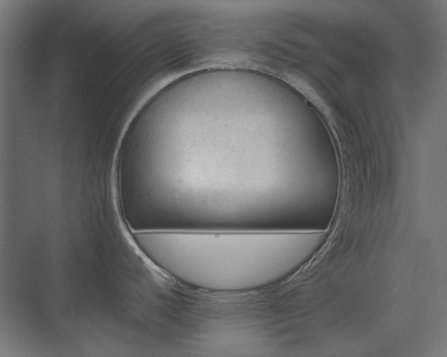 X0000074281440200608251307