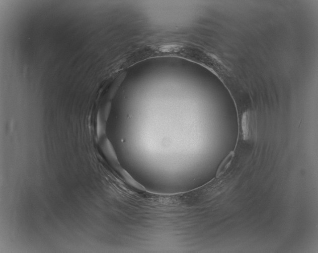X0000074281443200608251306