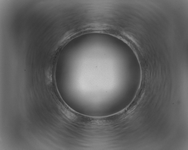 X0000074281451200608251306