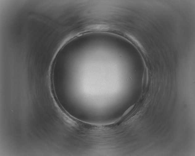 X0000074281475200608251305