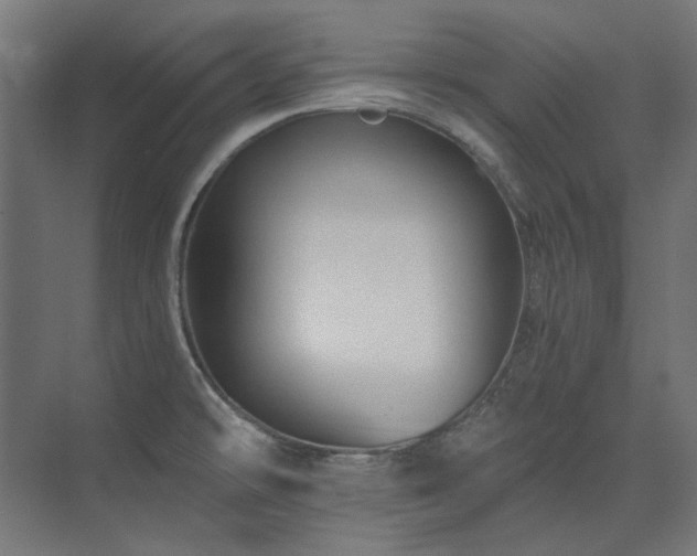X0000074281478200608251305
