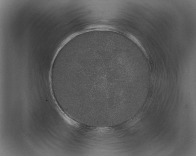 X0000074281482200608251305